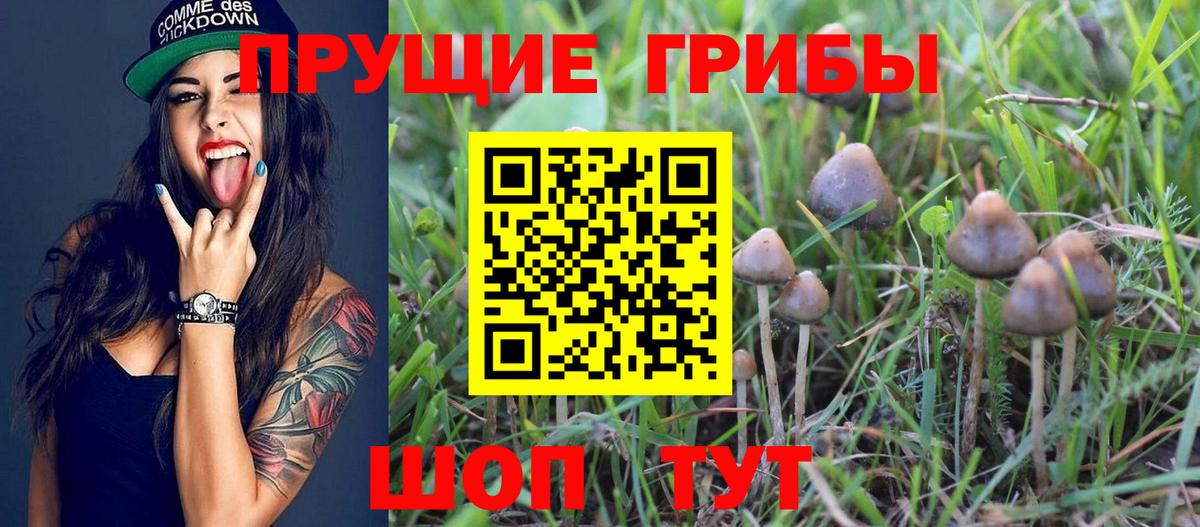 Галлюциногенные грибы мицелий Жигулёвск